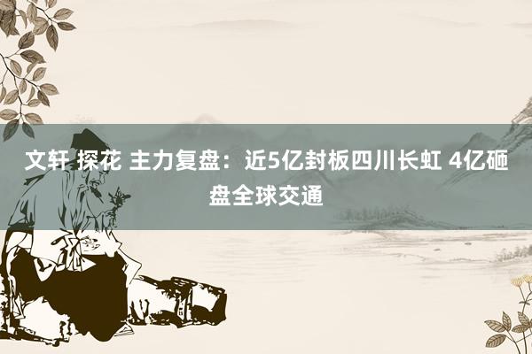 文轩 探花 主力复盘：近5亿封板四川长虹 4亿砸盘全球交通