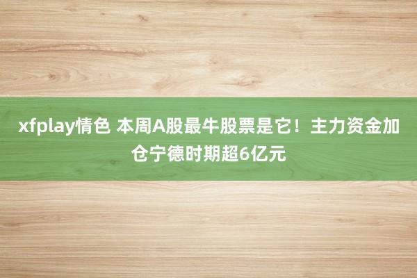 xfplay情色 本周A股最牛股票是它！主力资金加仓宁德时期超6亿元