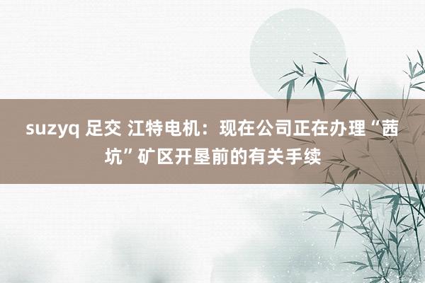 suzyq 足交 江特电机：现在公司正在办理“茜坑”矿区开垦前的有关手续