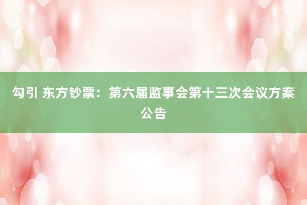 勾引 东方钞票：第六届监事会第十三次会议方案公告