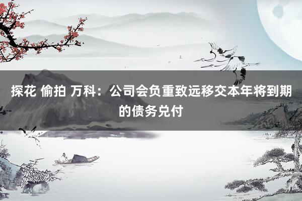 探花 偷拍 万科：公司会负重致远移交本年将到期的债务兑付