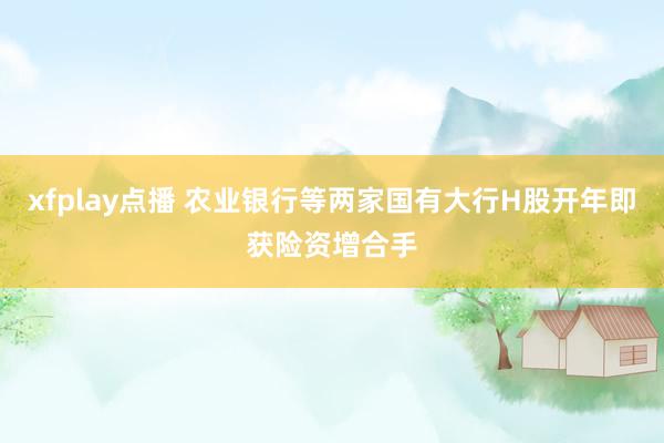 xfplay点播 农业银行等两家国有大行H股开年即获险资增合手