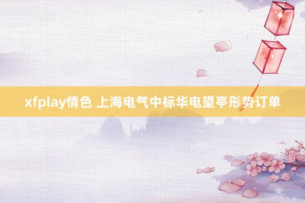 xfplay情色 上海电气中标华电望亭形势订单