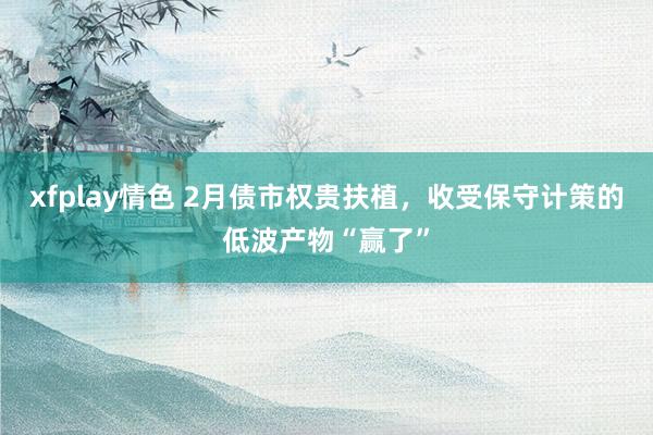xfplay情色 2月债市权贵扶植，收受保守计策的低波产物“赢了”