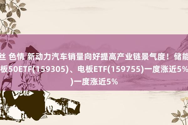 黑丝 色情 新动力汽车销量向好提高产业链景气度！储能电板50ETF(159305)、电板ETF(159755)一度涨近5%